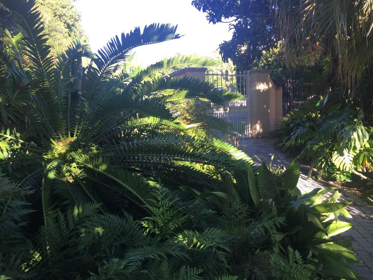 Constantia Valley Lodge Cape Town Bagian luar foto