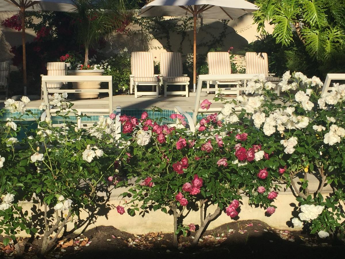 Constantia Valley Lodge Cape Town Bagian luar foto